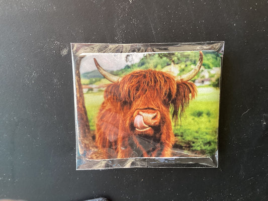 Highland cow magnet