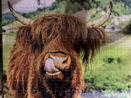 Highland cow puzzle