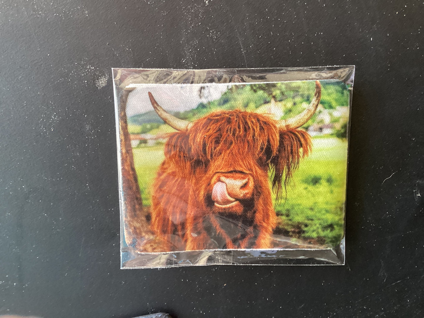 Highland cow magnet